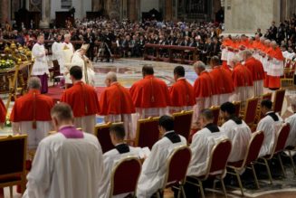 In the wake of the consistory, we need to debunk three persistent myths about cardinals…