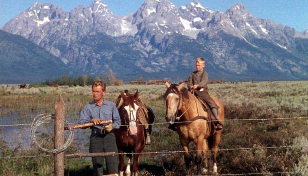 Looking for something to watch on your next family movie night? The classic Western ‘Shane’ (1953) is the perfect choice…..