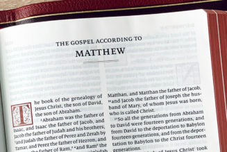 Self-proclaimed ‘Matthew 25 Catholics’ need to start taking Matthew 25 more seriously…..