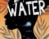 Brave Water: Impressive new novel with drama and depth aimed at teens…