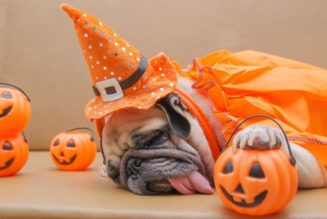 It’s still too early to celebrate Halloween…