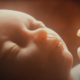 Watch: This talking fetus scene in ‘Blonde’ has created another media storm about abortion…