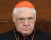 Cardinal Müller compares ‘pagan’ German bishops to WWII-era German Christians who sold out to the Nazis…