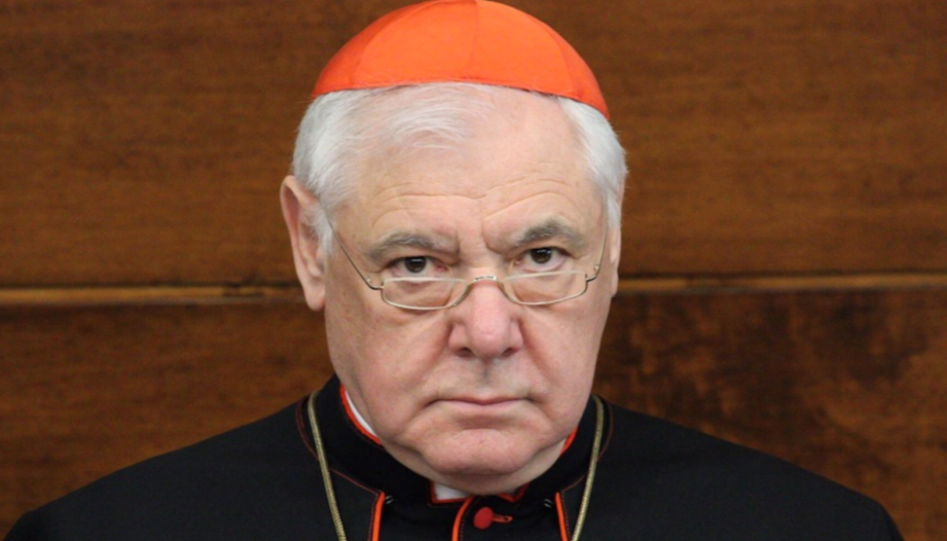 Cardinal Müller compares ‘pagan’ German bishops to WWII-era German Christians who sold out to the Nazis…