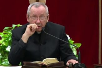 Cardinal De Donatis just released a peculiar statement about Jesuit Fr. Marko Rupnik that raises several questions while answering very few…..