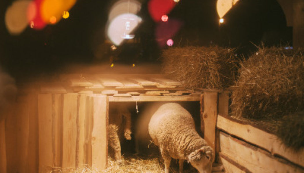 Celebrating Christmas on Dec. 25 is an ancient Christian practice — and pagan holidays had nothing to do with it…