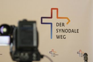 German Bishops Assess Global Support for Agenda of ‘Synodal Way’…