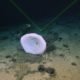 Mysterious ‘large object’ detected near Titanic wreck finally identified…