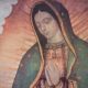 Our Lady of Guadalupe: 6 Things to Know and Share…