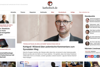 This German bishops-backed website has been pushing some strange, heterodox content lately…..
