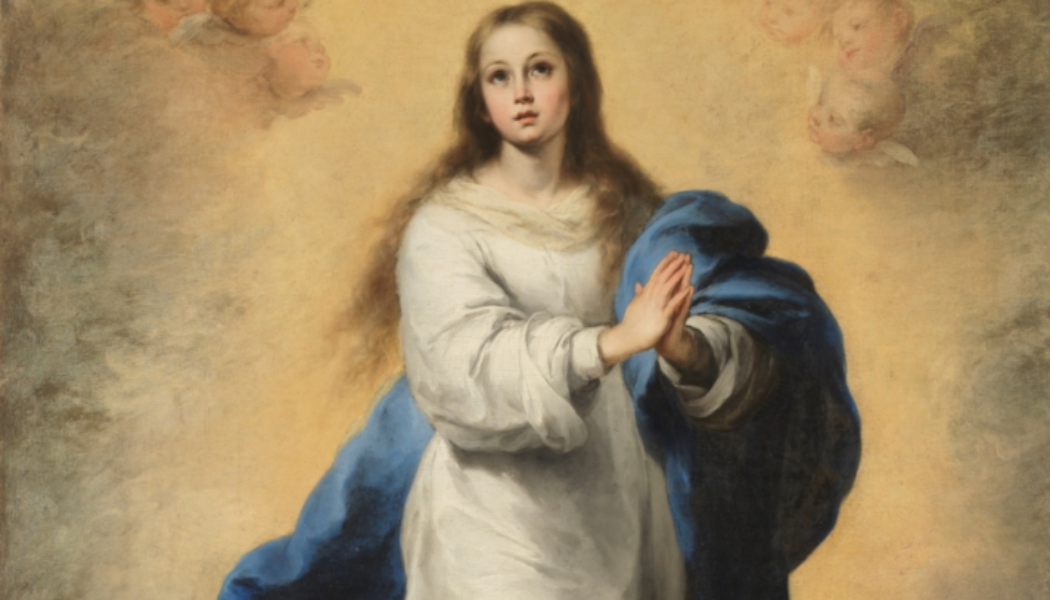 This is the essence and importance of the Immaculate Conception…
