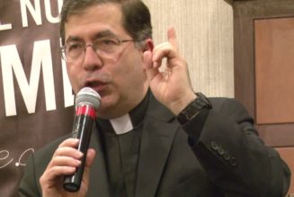 Vatican Dismisses Father Frank Pavone From Priesthood for ‘Persistent Disobedience’ and ‘Blasphemous Communications on Social Media’…