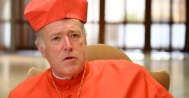 Cardinal McElroy’s attack on Church teachings on sexuality is a pastoral disaster…