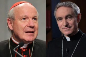 Cardinal Schönborn Calls Archbishop Gänswein Book ‘Unseemly Indiscretion,’ Confirms Key Detail of Benedict Papacy…