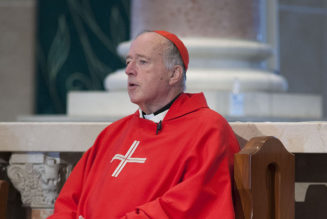 Cardinal McElroy’s recent essay presents a twisted inversion of Vatican II’s “universal call to holiness”…