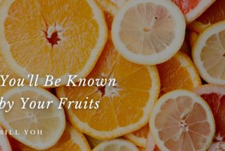 You’ll Be Known By Your Fruits