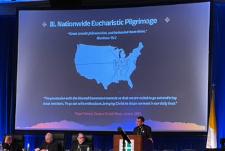 Cardinal Cupich Threatens to Restrict Eucharistic Exposition as National Pilgrimage Passes Through Chicago, Sources Say…