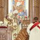 Coptic Orthodox Patriarch, Pope Tawadros II, to Offer Divine Liturgy in St. John Lateran Basilica…