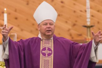 ‘Detrimental to Priestly Fraternity’: Pope to Ask Embattled Bishop Rick Stika to Resign as Bishop of Knoxville, Tennessee, Sources Say…