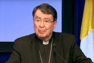 Is there a future for Archbishop Pierre’s synodality?
