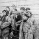 Servant of God Stanisława Leszczyńska: The Midwife of Auschwitz Who Delivered Thousands of Babies and Saved Thousands of Lives…