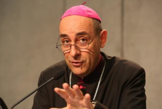 Cardinal Müller Confirms Vatican Doctrinal Office Had File Warning About Archbishop Fernández…