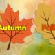 There’s a good reason why Americans (and only Americans) refer to autumn as “fall”…