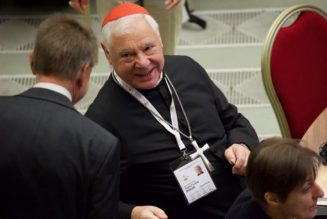 Cardinal Müller Says Synod on Synodality Is Being Used by Some to Prepare the Church to Accept False Teaching…