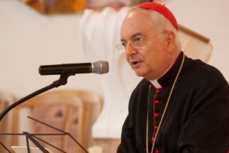 How to Bring Peace to the World? Start With Sacramental Confession, Cardinal Says…