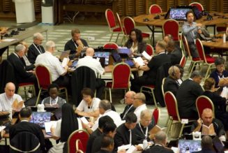 Synod Consensus: Everyone Is Tired…