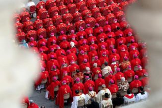 The College of Cardinals 2023: Global, Diverse and Unpredictable…