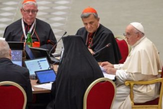 This Synod is wide, shallow, and contrary to Vatican II…