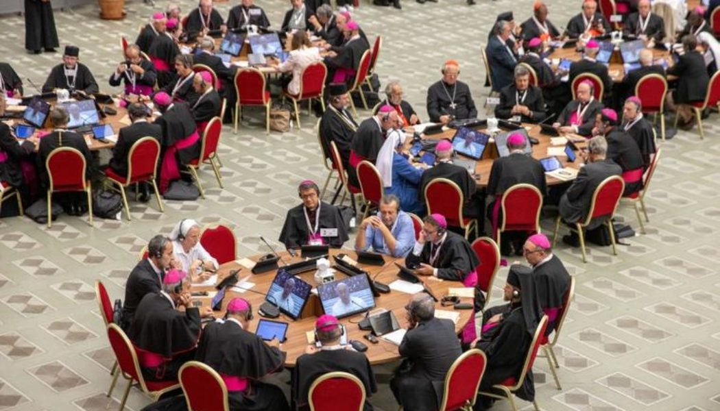 This Week at the Synod on Synodality: Deliberations and Veiled Agendas…