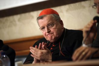 AP Confirms Nov. 20 Vatican Meeting Reports, Says Pope Francis Is Planning to Punish Cardinal Burke for ‘Disunity’…