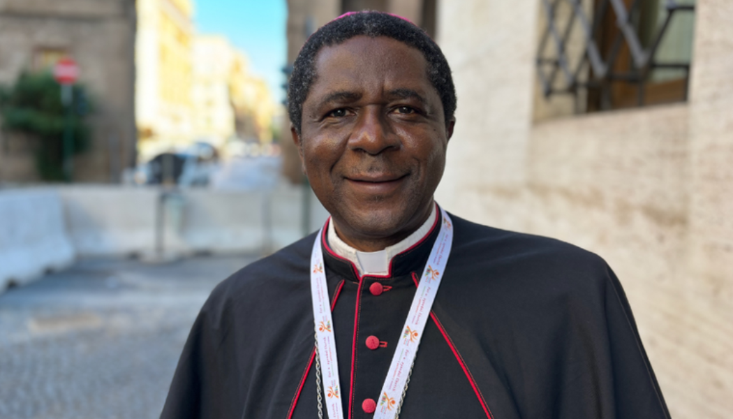 Cameroon Archbishop on Synod on Synodality: Views From Africa Were Taken ‘Very Seriously’…