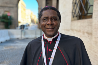 Cameroon Archbishop on Synod on Synodality: Views From Africa Were Taken ‘Very Seriously’…