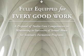 How seminaries can train priests to help heal the wounds of clergy sex abuse…