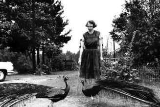 Unlocking the ‘prophetic vision’ of Flannery O’Connor, the writer who swam in Thomism…