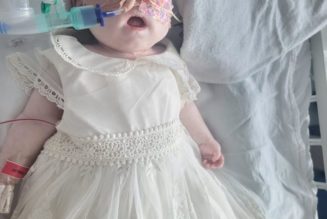 Vatican Hospital Offers to Treat Critically Ill Indi Gregory, 8-Month-Old Baby Denied Life Support in Britain…