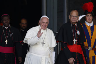 Rift widens over gay blessings as Hungarian bishops reject them but Indian cardinal says yes…