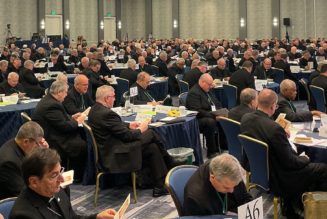 Why did the USCCB pull their Native American pastoral text last month? Turns out some bishops thought its wording could get their dioceses sued…..