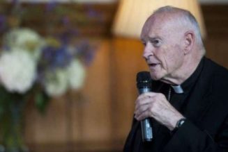 McCarrick Case Suspended After Disgraced Former Cardinal Found Incompetent to Stand Trial in Wisconsin…