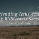 Befriending Jesus Amidst Our Wilderness Seasons