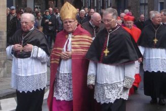 Belgian Bishop Roger Vangheluwe Laicized 14 Years After Admitting Abuse…