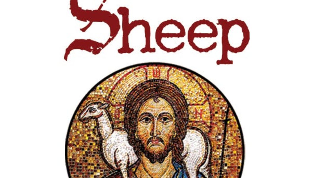 What would it mean to live and worship as ‘Rational Sheep?’ Let’s get started…..