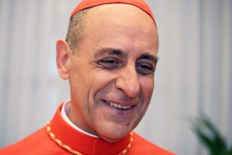‘Dignitas Infinitas’ to Be Published Monday: How Will Cardinal Fernández Influence the Vatican’s Gender Ideology Response?