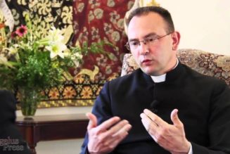 SSPX Priest, Former U.S. District Superior, on Trial in France for Abusing 7 Children…