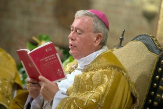 Synod boss Cardinal Hollerich claims infallible Church teaching “can be changed” but it has to be done “one step at a time”…