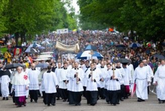 The processions, the news, and the papal apology…