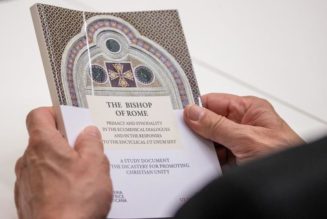 Vatican’s ‘Bishop of Rome’ Document Has an ‘Ivory Tower’ Feel…